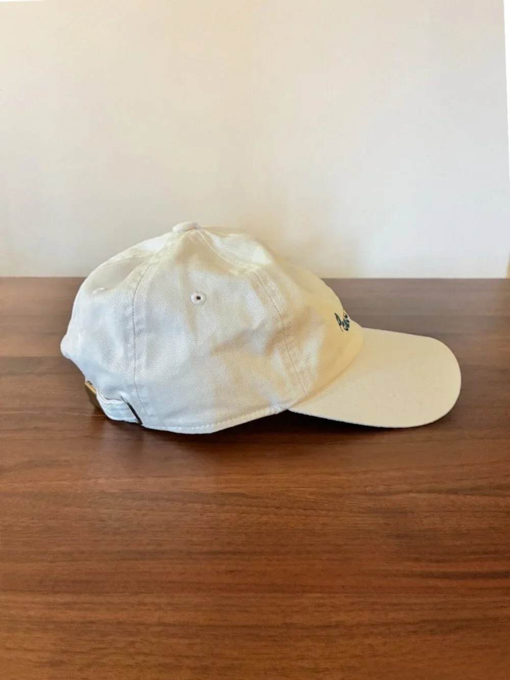 Museum of Peace and Quiet Classic Wordmark Hat Cap in Bone